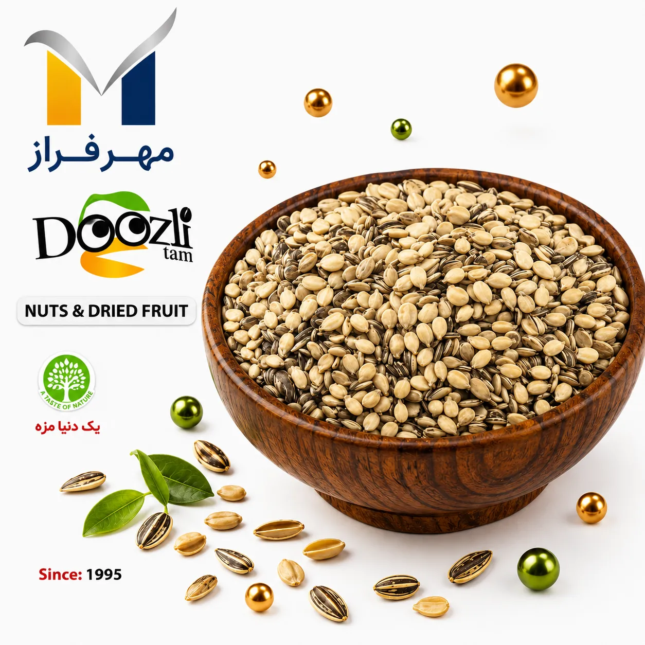 پخش عمده تخمه محبوبی